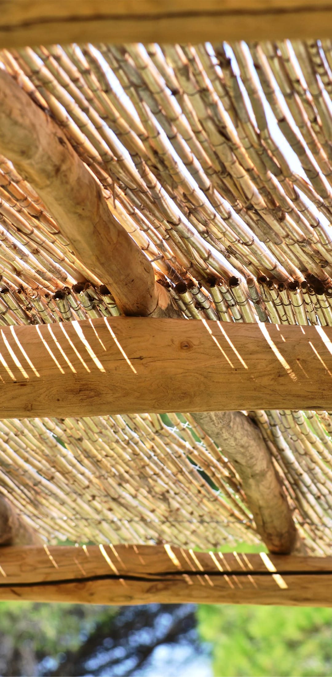 Photo de détails architecturaux marron de réalisation 18 - Agence Boris Folli - Architecture des Caps