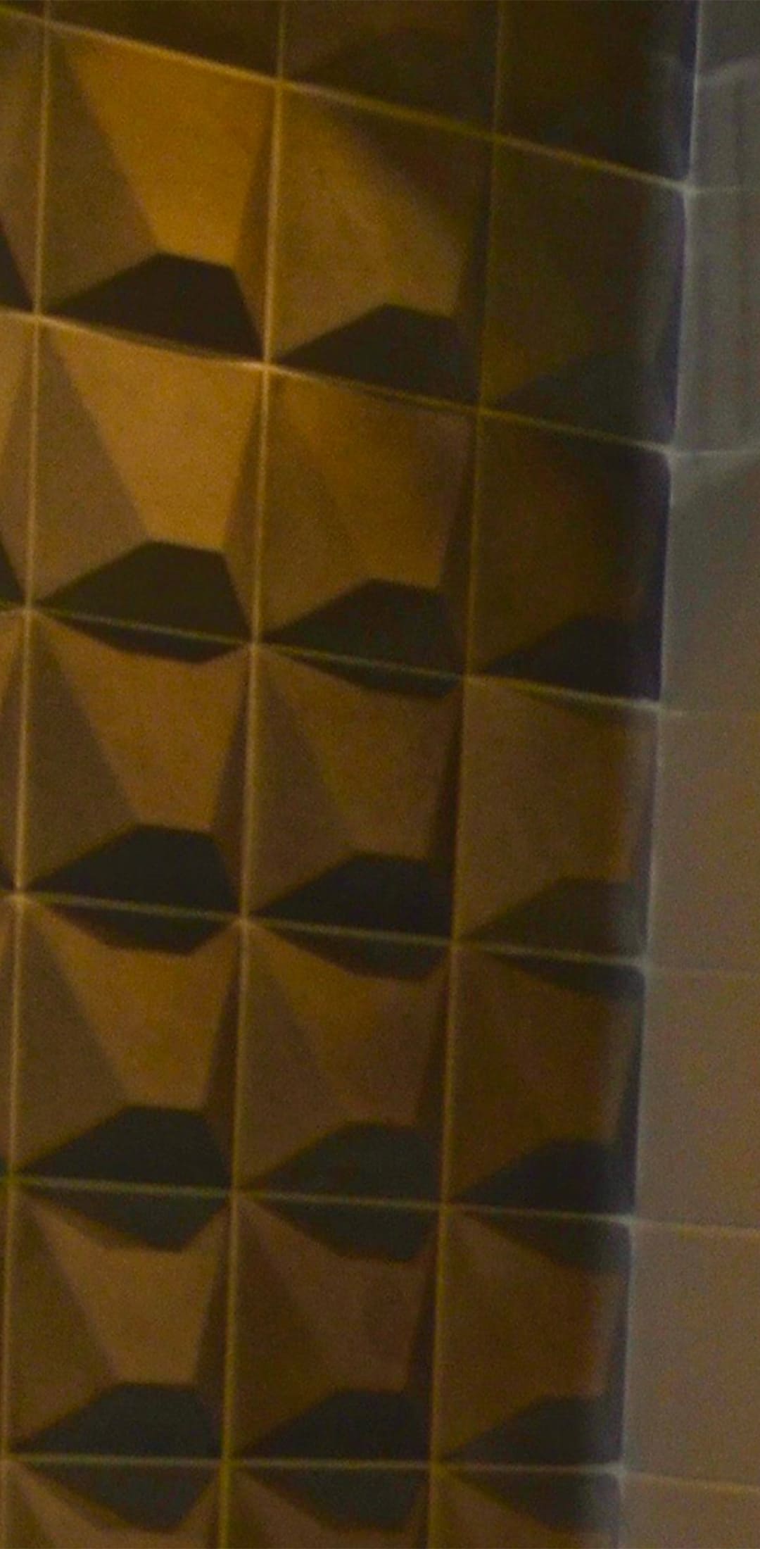 Photo de détails architecturaux marron de réalisation 28 - Agence Boris Folli - Architecture des Caps