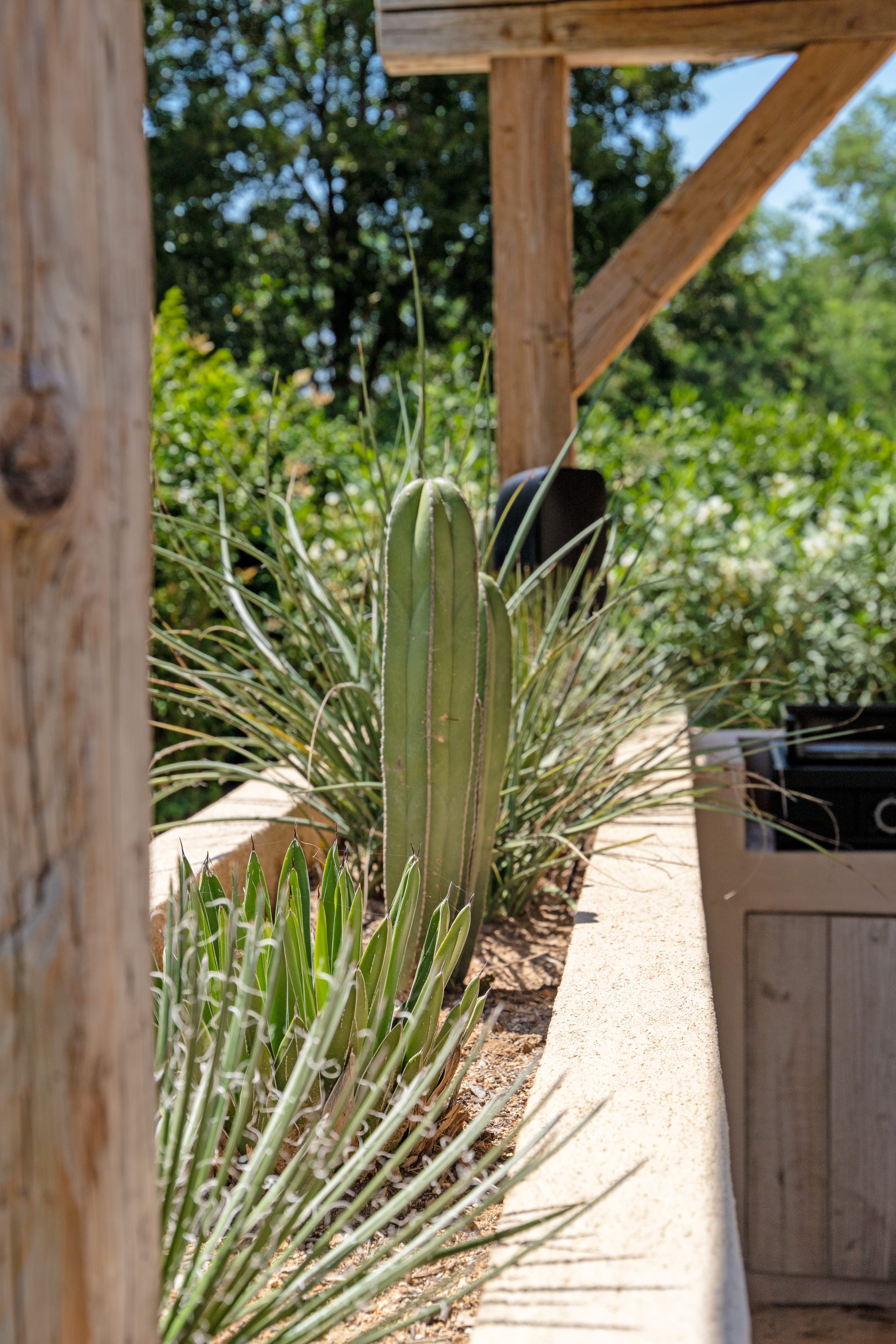Photo de détails architecturaux vert de réalisation 13 - Agence Boris Folli - Architecture des Caps