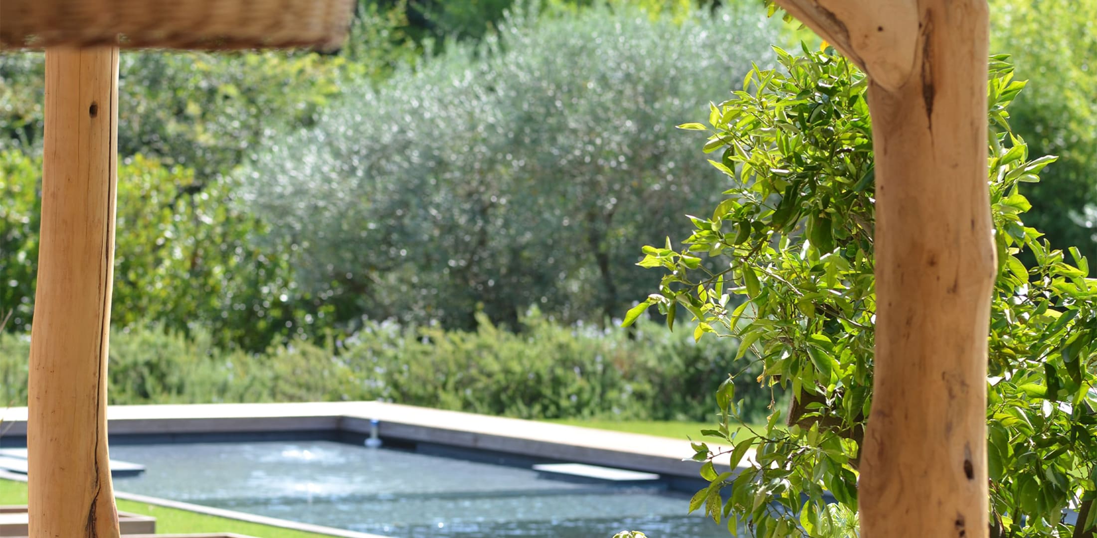 Photo de détails architecturaux vert de réalisation 5 - Agence Boris Folli - Architecture des Caps