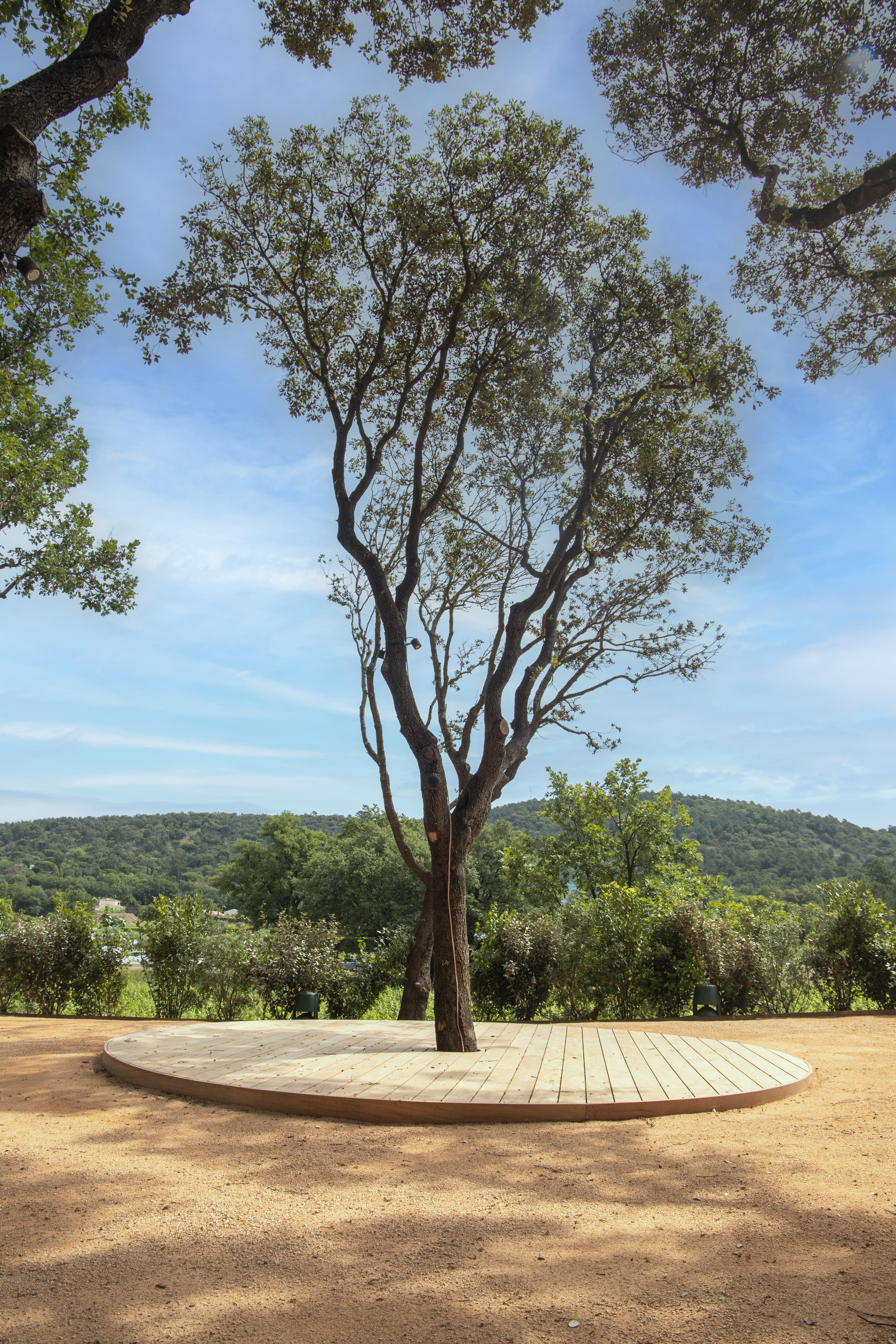 Photo de détails architecturaux vert de réalisation 6 - Agence Boris Folli - Architecture des Caps