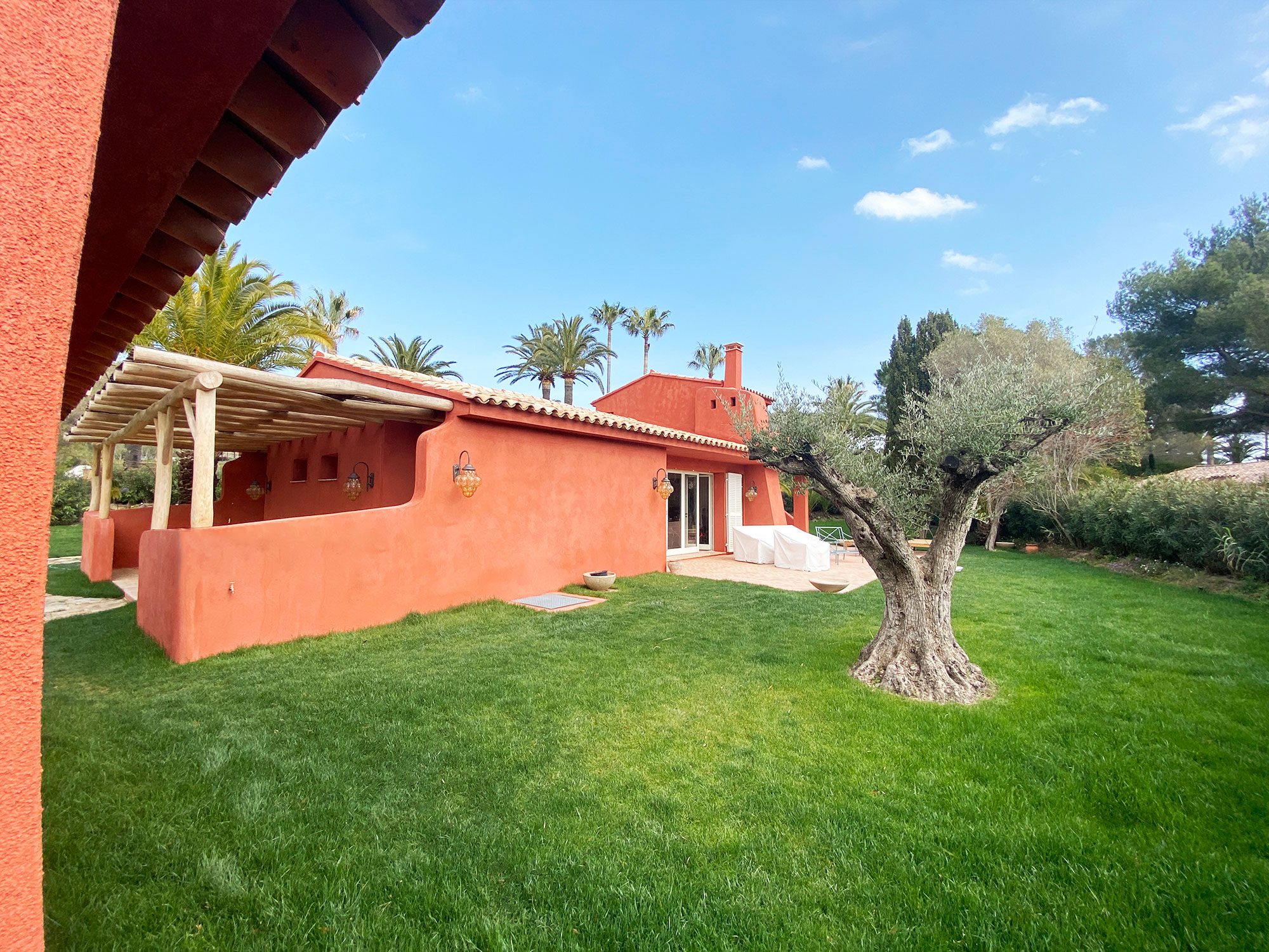 Réalisation d'une Palmeraie tropézienne à Saint-Tropez - Image 2